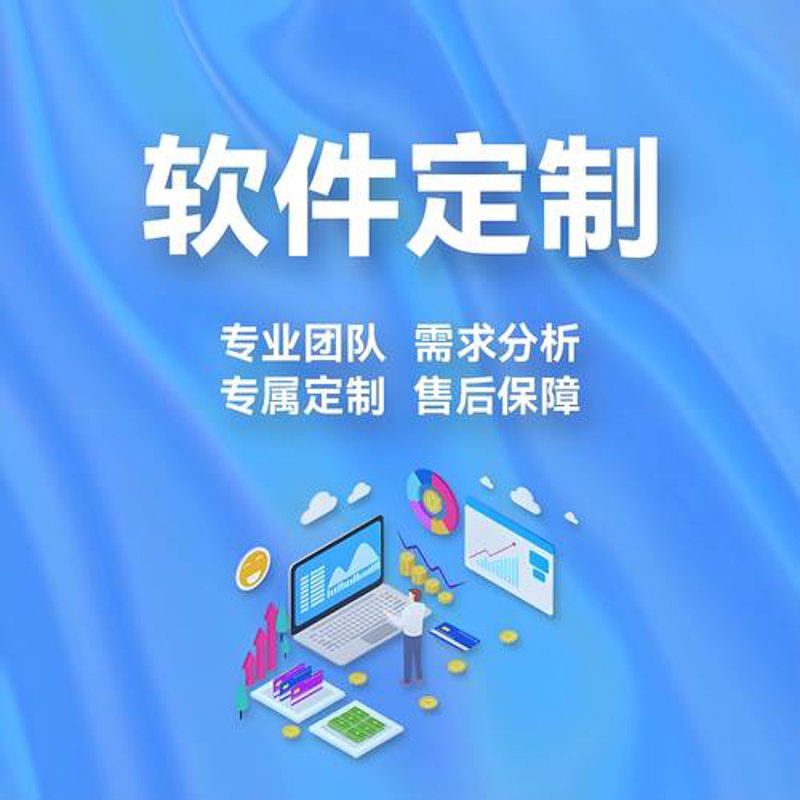 企业软件定制——解锁高效管理的秘密武器