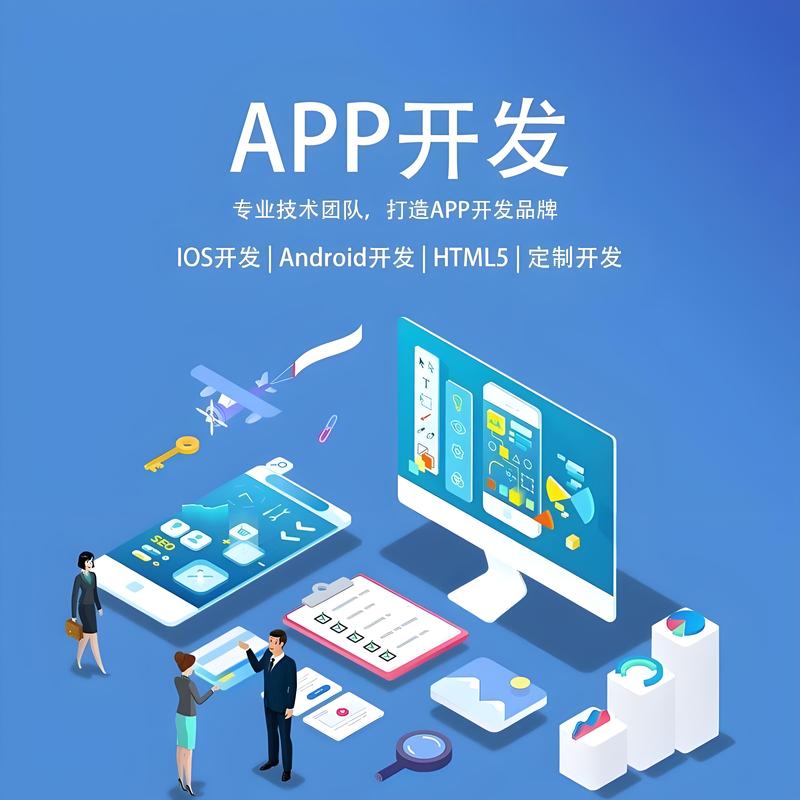 定制企业软件：帮助企业精准导航未来